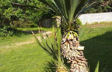 Montello Hill apartment - Foto 20