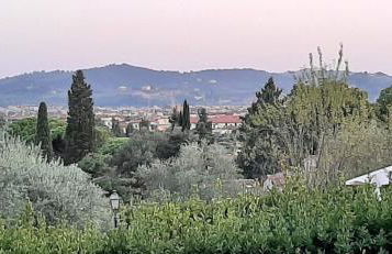 Poggio Gherardo - Foto 19