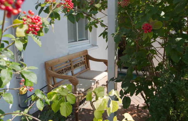 Herring Gull in the Villa Meernixe Binz - Photo 19