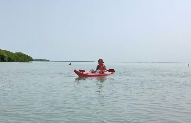 Tour della laguna di Términos in kayak - Foto 4