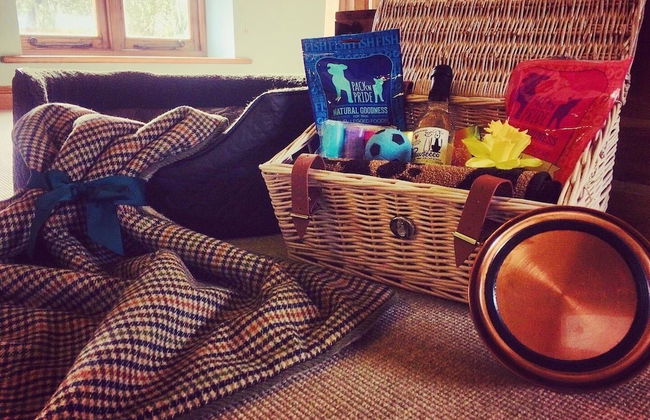 Old Hall Country Breaks - Foto 31