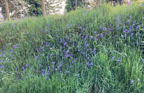 Hillhead Country Retreat - Photo 37