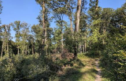 Studio cosy proche étang et commerces - Foto 8