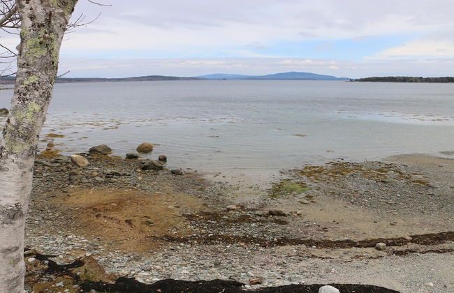 Mabel's Point - Brooklin - Photo 29