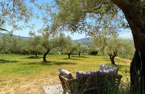 Casa de Olivos - Unique Apartments - Adult Only - Foto 28