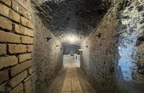 Le Calanque La Terrazza su Civita - Foto 37