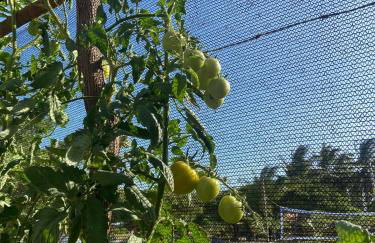 Vila hangloose vista da lagoa - Foto 39