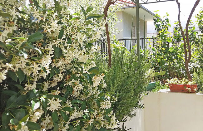 Marjan park - Foto 54