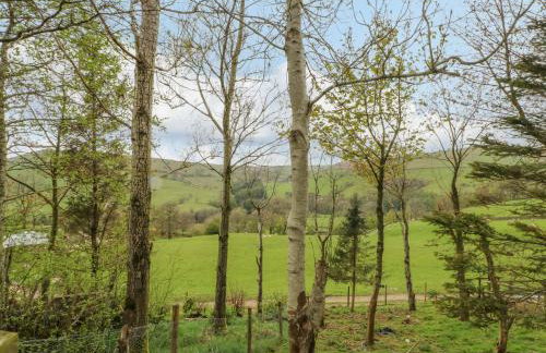 Swallows Return - Foto 23