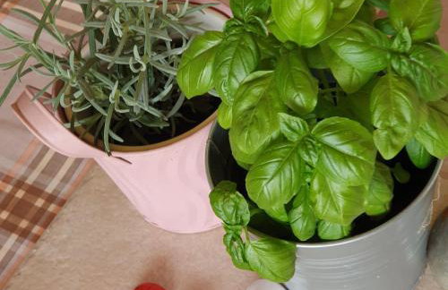 Viva Ve - Studio Apartment - Foto 14