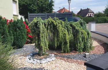 Sunny Suite by Leslodgespa - Studio moderne et coloré, proche de Bâle et de l'aéroport - Foto 25
