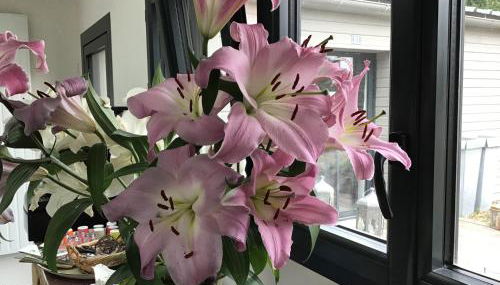 La Guinière Chambres D'hôtes - Foto 3