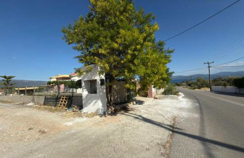 Zeka house - Photo 27