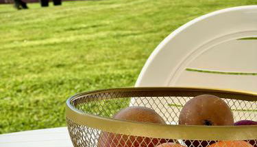 L’Archipel de Talmont - Foto 4