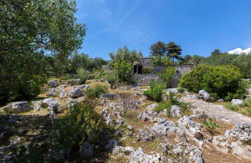 Pajara Rugiada - Foto 41