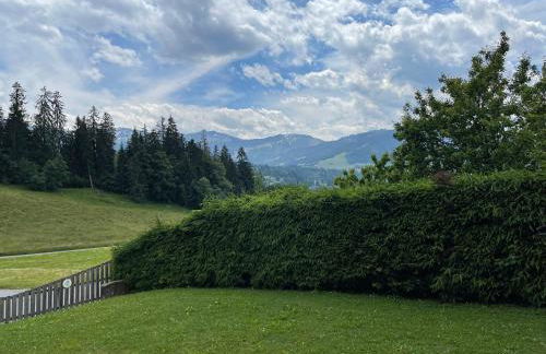 Marmotte du Jaillet Cosy and charmant appartement - Foto 36