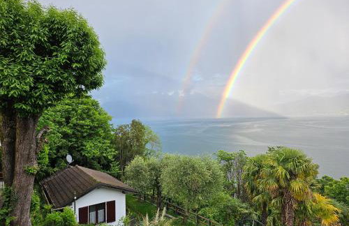 Mid of Nature ' Bella Vista Lago Maggiore charmant mit traumhaften Seeblick, Terrasse und großen Garten - Foto 5