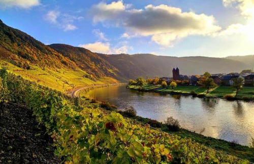 Ferienweingut Gansen Hochgenuss 2 - Foto 14