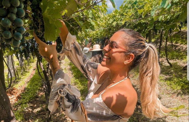 Ingresso da vinícola Jolimont - Foto 4