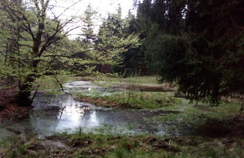 Mia und Michel im Sauerland - Foto 22