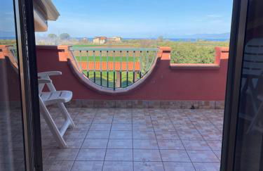 B&B Le Palme San Costantino - Foto 2