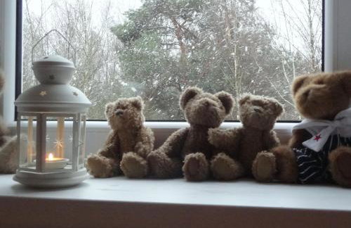 Uroczysko Sosnówka - Foto 43