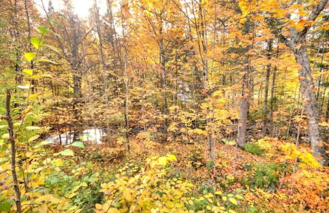 Le Morgan-Chalet à louer Stoneham - Foto 29