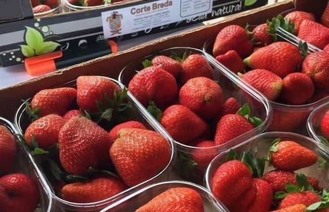 Corte Breda Agriturismo Bed & Breakfast - Foto 35