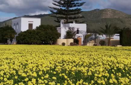 Can Joan Yern - Foto 15