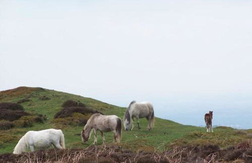 Stunning cottage nestled under the Longmynd Hills. - Foto 14