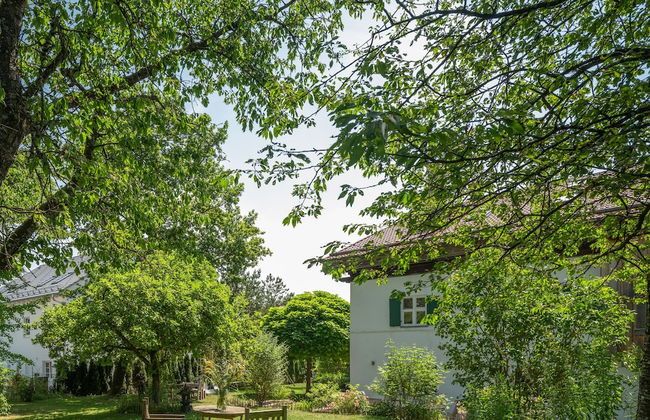 Gut Stohrerhof - Foto 60