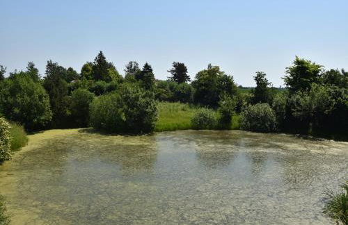 Rustic-style Apartment in Buschenhagen With Garden - Foto 26