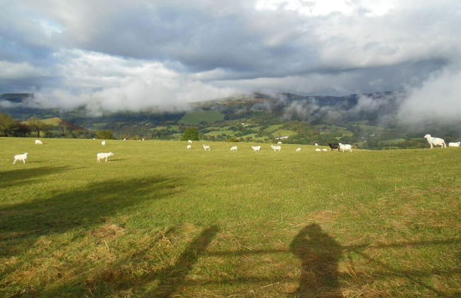 Relaxing pet Friendly 2-bed Cottage in Rhandirmwyn - Foto 13