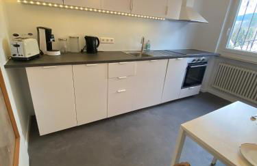 Lichtblick unter der Buche - Foto 9