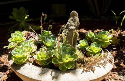 Serenity Grove - Foto 7