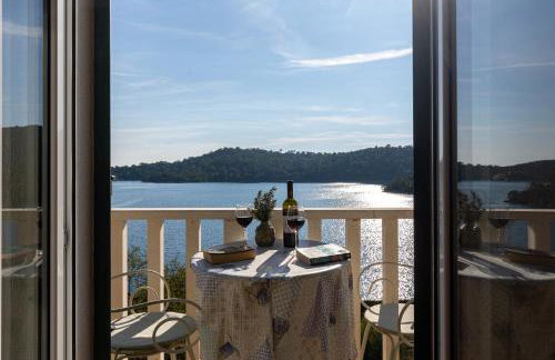 Pansion Mali Raj - Photo 53