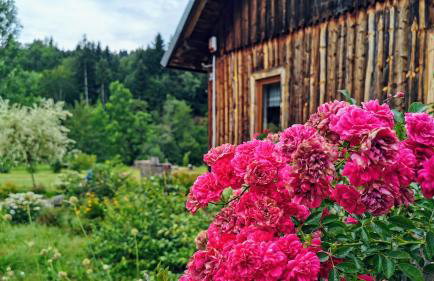 Wieś odNowa - Photo 16