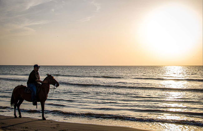 Manzanillo del Mar Horse Farm Day Trip - Foto 7