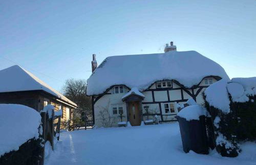 Brays Cottage, Inkpen - Perfect Country Time - Foto 68