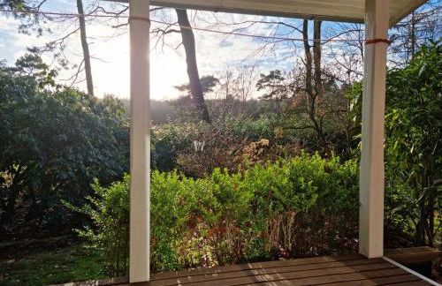 Waldhaus Dötlingen Ferienhaus im Naturpark - Foto 6