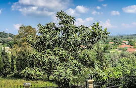 Hidden gem in nature reserve on the beach - Foto 34