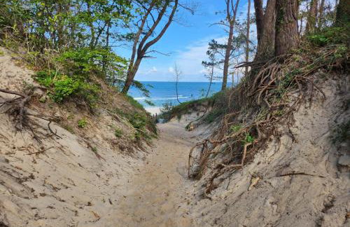 Domki Letniskowe U Żuni - Foto 20