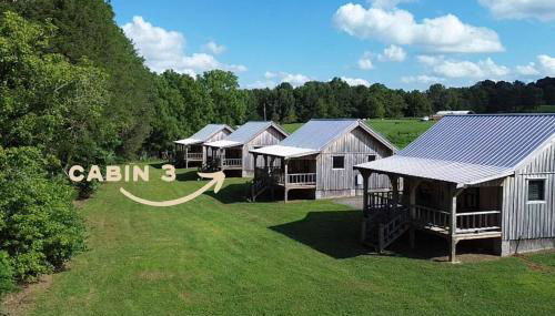 Cozy King Cabin Near Waterfalls & Center Hill Lake Cabin 3 - Photo 2