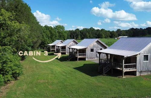 Cozy King Cabin Near Waterfalls & Center Hill Lake Cabin 3 - Photo 2
