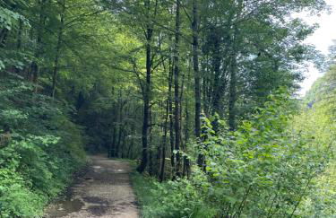 Confortable, au centre-ville - Foto 17