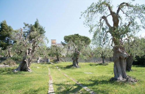 Azienda Agricola Villa Castelluccia - Foto 7