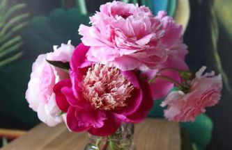 The Writer's Studio (stylish garden guesthouse) - Foto 29