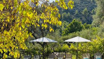 Agroturismo Son Penyaflor - Foto 2