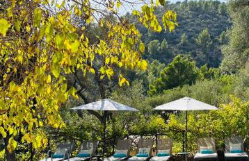 Agroturismo Son Penyaflor - Foto 2