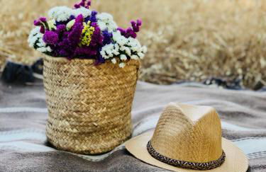 Casas das Piçarras - Alentejo - Foto 18